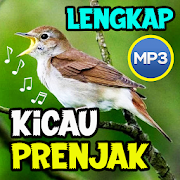 Kicau Burung Prenjak Lengkap