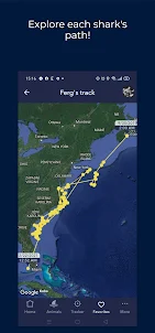 OCEARCH Shark Tracker