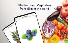 screenshot of Fruits and Vegetables