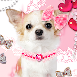 Cover Image of Download Dog Wallpaper Me and My Puppy  APK