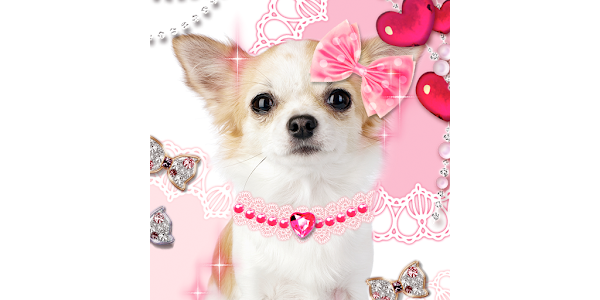 犬壁紙 Me And My Puppy Google Play のアプリ