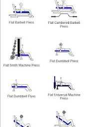 Animated Exercise Examples