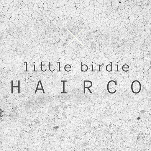 Little Birdie Hair Co logo
