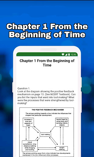 Screenshot of Class 11 History Notes & MCQs