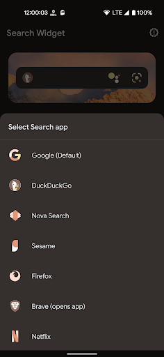 Screenshot of Search Widget (Material You)