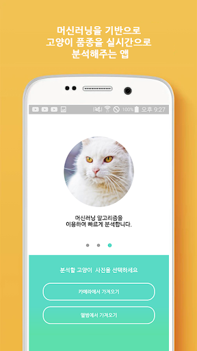 What is your cat? Screen 2