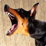Cover Image of Télécharger Barking Dog Ringtones 1.5.0 APK