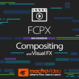 FCPX Compositing and Visual FX icon