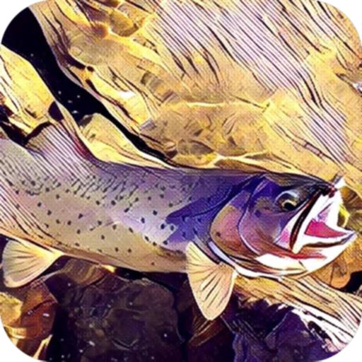 Montana Fishing Access logo