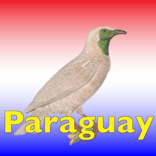 The Birds of Paraguay logo