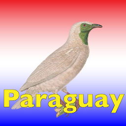 Icon image The Birds of Paraguay
