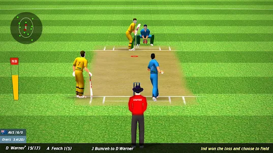 Real World Cricket Game