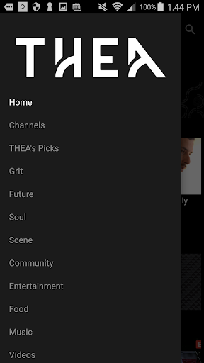 THEA Screen 2