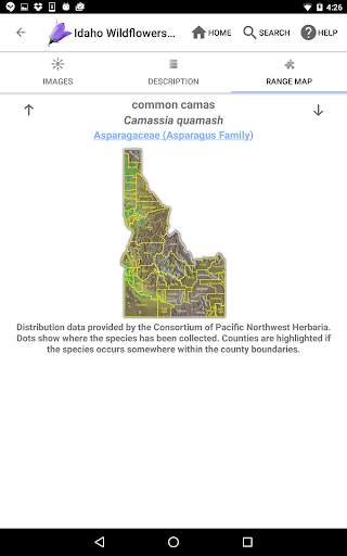 Screenshot of Idaho Wildflowers