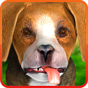Animated dog beagle - prank app 1.0.0.37 Icon