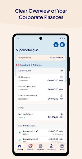 SpareBank 1 Mobilbank bedrift Screen 3