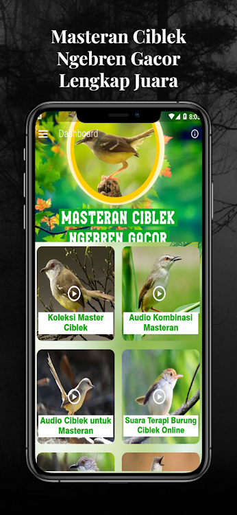 Masteran Ciblek Ngebren Gacor - 4.3.8 - (Android)