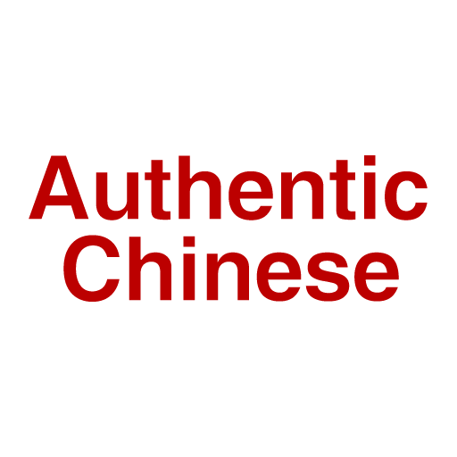 Authentic Chinese S13 logo