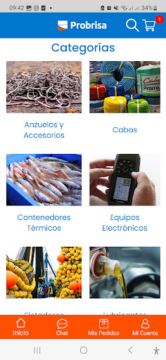 Probrisa App Screen 2
