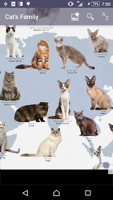 猫図鑑のおすすめ画像1