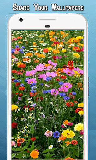 ALL Flowers Wallpapers Hd Screen 2