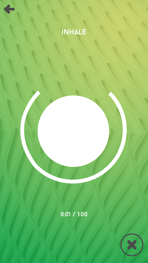 The Accomplished Brain App Screen 2
