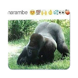 Memes of Harambe icon