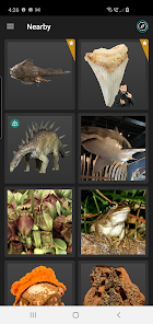 Screenshot image