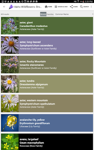 Screenshot of Idaho Wildflowers