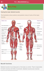 Captura de Pantalla 14 Anatomy & Physiology MIE NCLEX android
