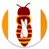 Beemaster BG icon