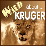 Wild About Kruger Park icon