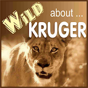 Top 33 Travel & Local Apps Like Wild About Kruger Park - Best Alternatives