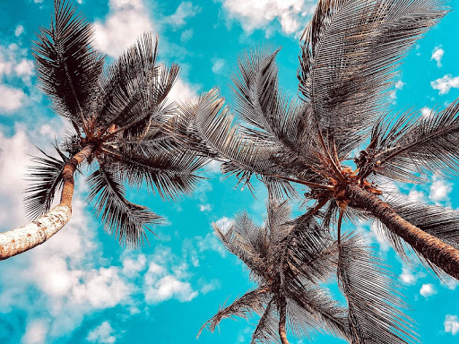 Jigsaw puzzle without internet