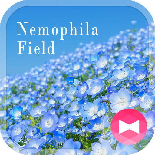 美しい 壁紙アイコン ネモフィラの丘 無料 Google Play のアプリ