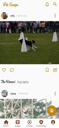 Android application Pet-Scape screenshort