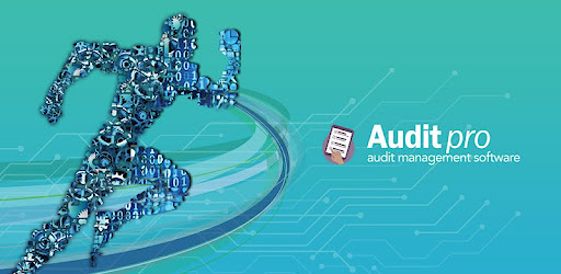 AuditPro Management