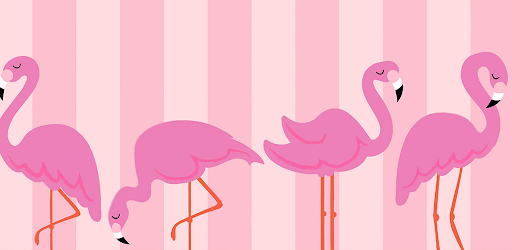 Cute Flamingo Wallpaper On Windows Pc Download Free 1 0 Com Flamingowallpaper Backgroundkawaii