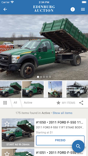 Edinburg Auction Screen 3
