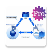 SOAP - Simple Object Access Protocol Pro