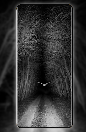 Screenshot of Gothic Wallpaper