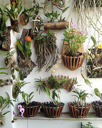 Screenshot of Orchid Garden