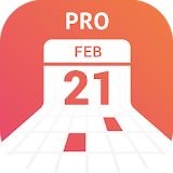 DD Calendar (Widget) Pro icon