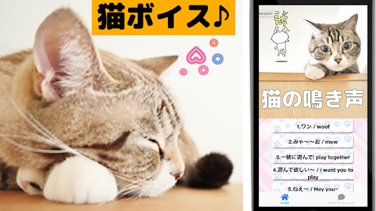 猫の鳴き声アプリ 猫語翻訳 ねこの鳴き声 ねこあつめ ボイス