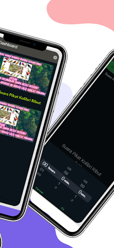 Suara Pikat Kolibri Ribut Screen 2
