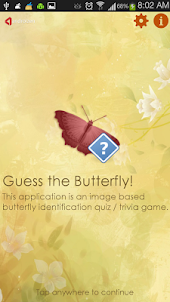 Guess the Butterfly-Photo Quiz