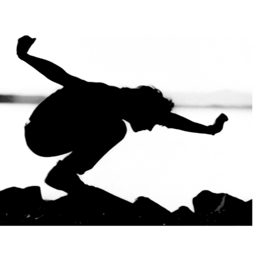 Lorenzo Faraoni logo