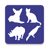 Animals Soundboard icon