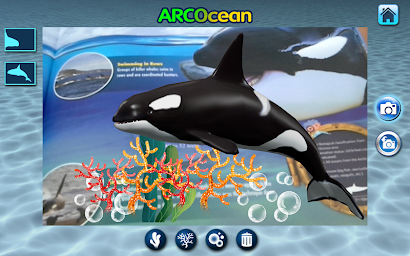 ARCOCEAN - ARC OCEAN AR