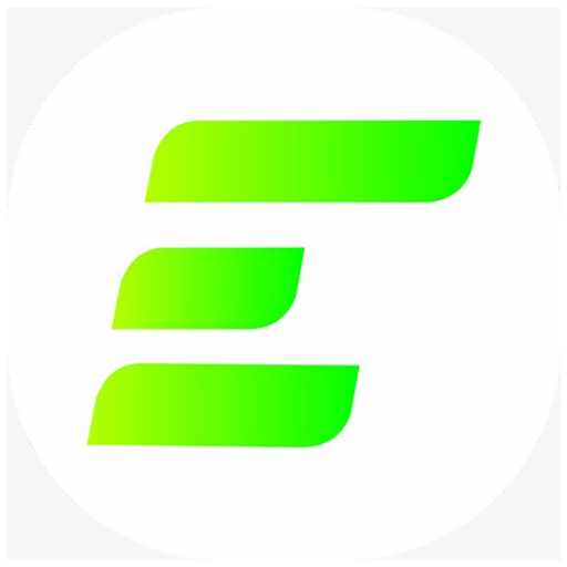 EULER logo